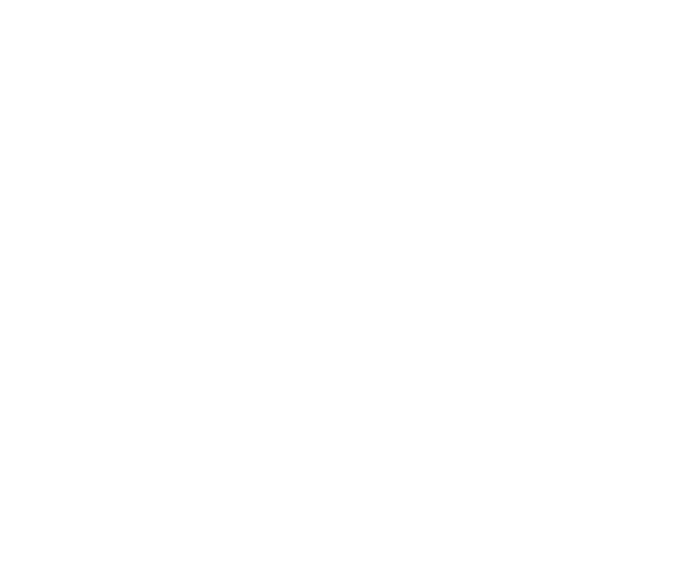 TurnoIA